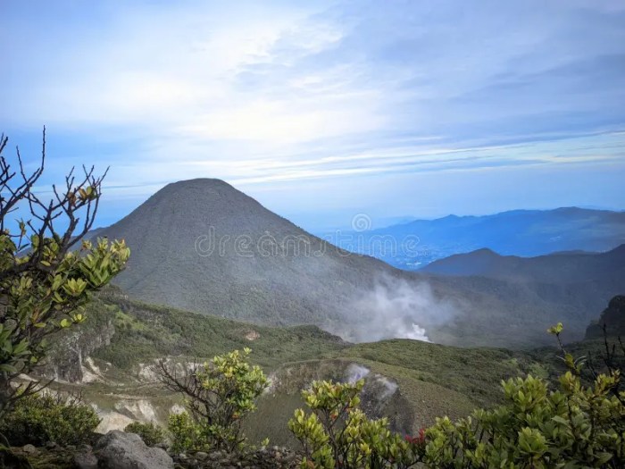 Gerbang pendakian gunung gede pangrango