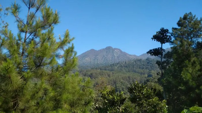 Jalur pendakian gunung kawi